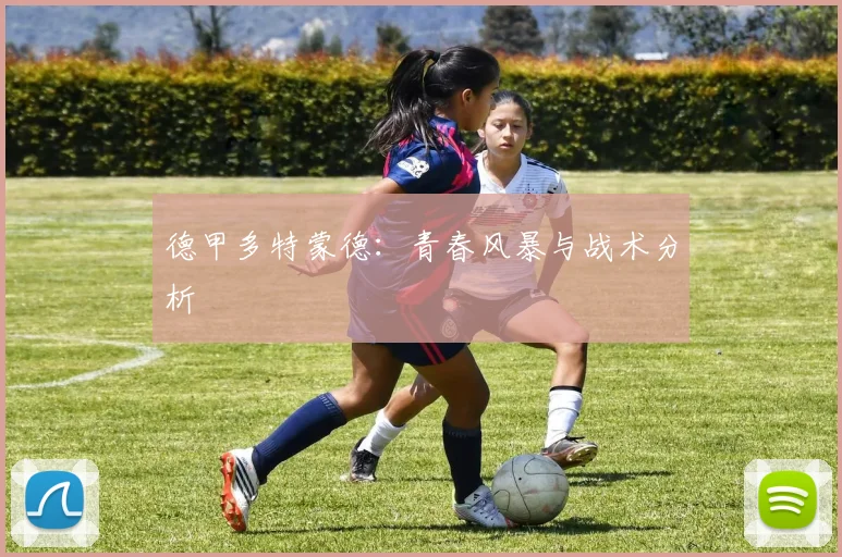 德甲多特蒙德：青春风暴与战术分析