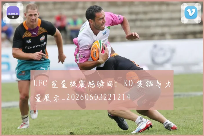 UFC 重量级震撼瞬间：KO 集锦与力量展示_20260603221214